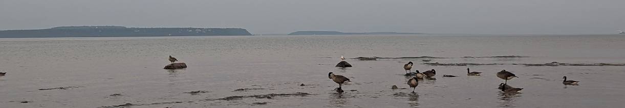 Divider Great Lakes